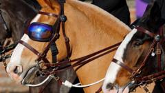 Sunglass-wearing police horse Luna retires