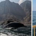 'We are at the edge of a battlefield': BBC reports near Strait of Hormuz