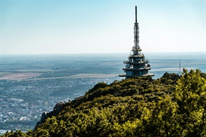 Very High Allergy Alert for Tree Pollen Continues