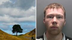 Man who felled Sycamore Gap tree released early