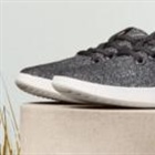 Shoe brand Allbirds' shares rise 580% after it pivots from footwear to AI