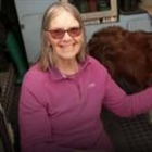 I was left with an £8,000 vet bill when my insurer cancelled my pet policy