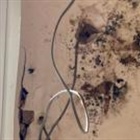 Four arrested over suspected home insulation scheme fraud