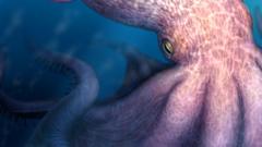 Meet the 19-metre octopus that prowled the seas 100 million years ago