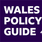 Welsh election 2026: Who should I vote for? Compare party policies