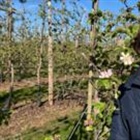 'Even if Iran war ends now, farmers' costs will have to be passed on'