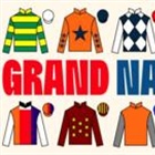 Grand National pinstickers' guide to runners