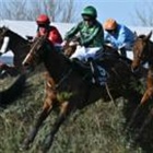 Can stats help you find the Grand National winner?